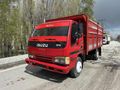 1997 model yeni muaneli sıfır motorlu Isuzu şampiyon