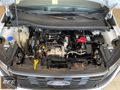 2025 FORD COURIER 1.5ECOBLUE ACTİVE ÇİFT RENK 10.500 KM