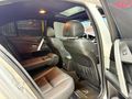 AZEM MOTORS DAN TR EN UYGUN M5 E60