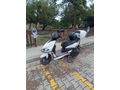 Sahibinden Kuba Pesaro 50 X