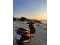 Honda Blok Freedom 50/125
