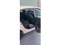 Sahibinden Renault Fluence 1.5 dCi Joy 2013 Model
