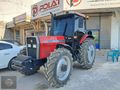 Hattat 295 çok temiz