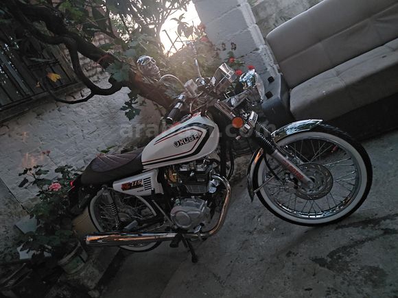 Sahibinden Kuba Çita 100 R