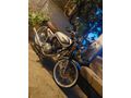 Sahibinden Kuba Çita 100 R