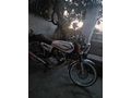 Sahibinden Kuba Çita 100 R