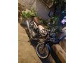 Sahibinden Kuba Çita 100 R