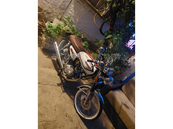 Sahibinden Kuba Çita 100 R