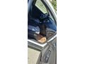 FORD FOCUS 2017 ÇIKIŞLI HASARSIZ BAKIMLI EKSPERTİZLİ