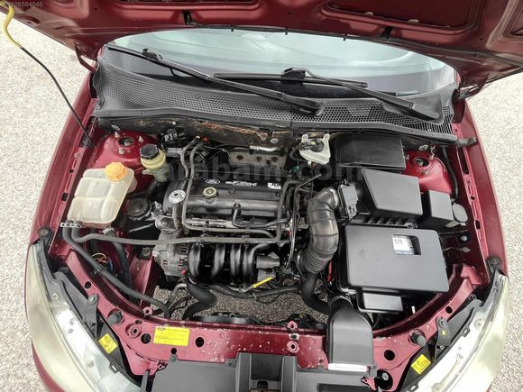 Ford focus 1.6