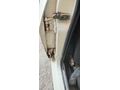 Sahibinden Renault R 12 TSW 1986 Model Antalya