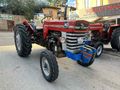 TORUN TRAKTÖR 1967 MODEL 165 MASSEY FERGUSON SINIF TRAKTÖR