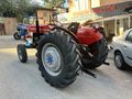 TORUN TRAKTÖR 1967 MODEL 165 MASSEY FERGUSON SINIF TRAKTÖR