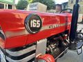 TORUN TRAKTÖR 1967 MODEL 165 MASSEY FERGUSON SINIF TRAKTÖR