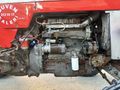 TORUN TRAKTÖR 1967 MODEL 165 MASSEY FERGUSON SINIF TRAKTÖR