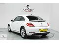 ATAKÖY MOTORS'DAN HATASIZ NEW BEETLE