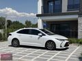 AFRATAFRADAN COROLLA FLAME X PACK