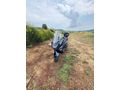 Sahibinden Kymco Sky Town 125