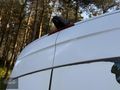 ÖNDE OTOMOTİV MERCEDES SPRİNTER PANELVAN 316CDI