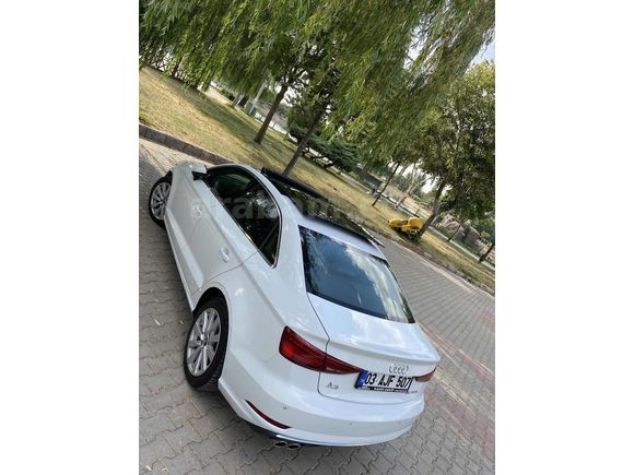 SADECE 77 BİNDE BEYAZ GÖVERCİN