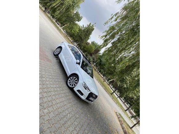 SADECE 77 BİNDE BEYAZ GÖVERCİN