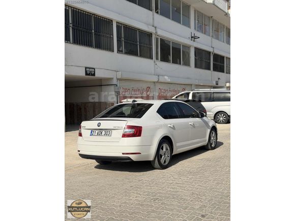 HATASIZ 2018 OCTAVIA