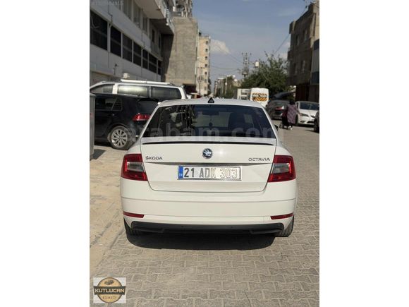 HATASIZ 2018 OCTAVIA