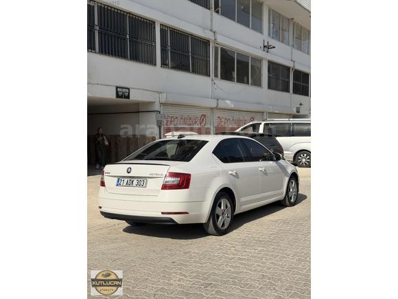 HATASIZ 2018 OCTAVIA