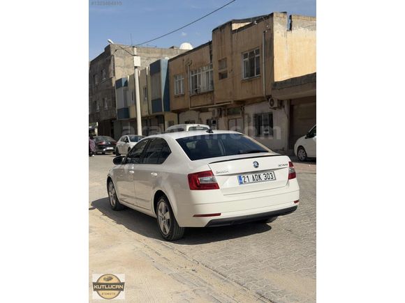 HATASIZ 2018 OCTAVIA