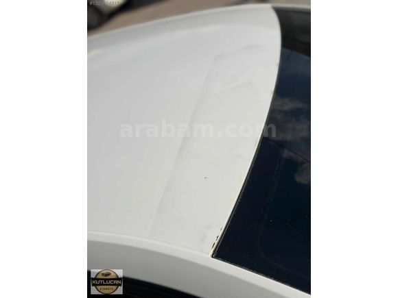 HATASIZ 2018 OCTAVIA