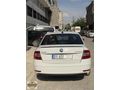 HATASIZ 2018 OCTAVIA