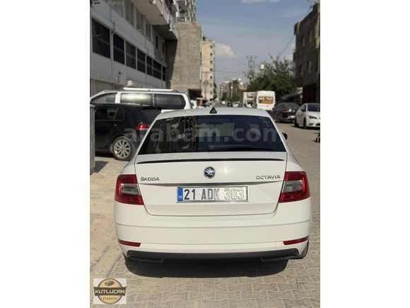 HATASIZ 2018 OCTAVIA