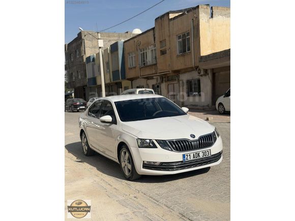 HATASIZ 2018 OCTAVIA