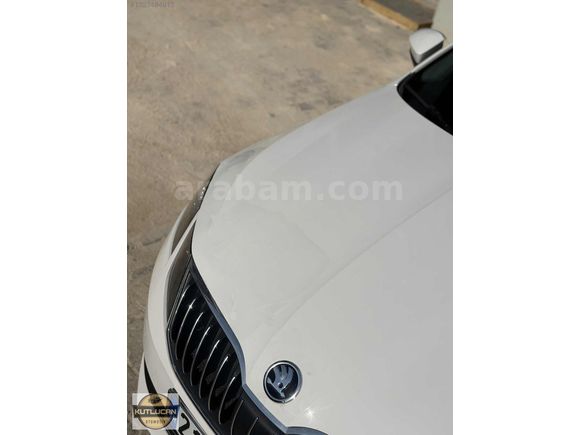 HATASIZ 2018 OCTAVIA