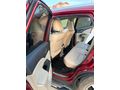 Sahibinden Honda CR-V 2.0i Executive 2013 Model