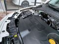 2019.1.6 easy plas otomatik ful orjinal fırsat aracı
