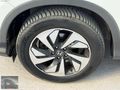 2016_CRV_EXECUTİVE_1.6 İ-DTEC_CAM TAVAN_4*4