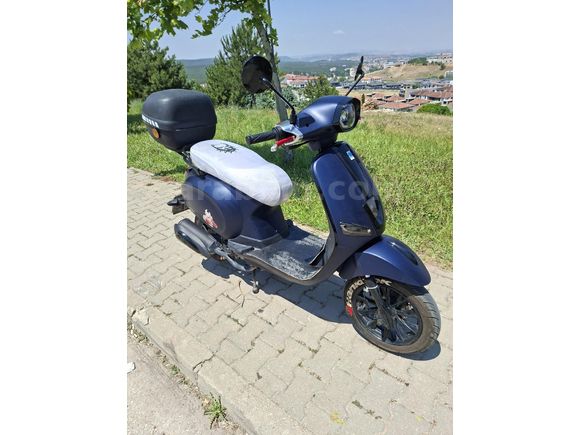 Mondial 50(80) Wing