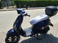 Mondial 50(80) Wing