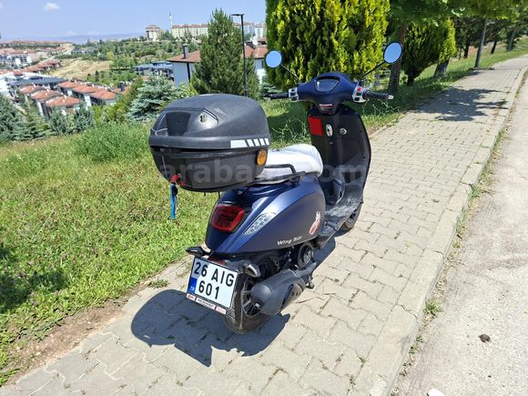 Mondial 50(80) Wing