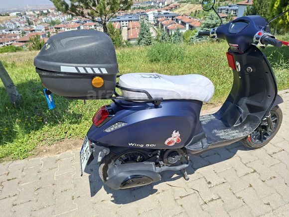 Mondial 50(80) Wing