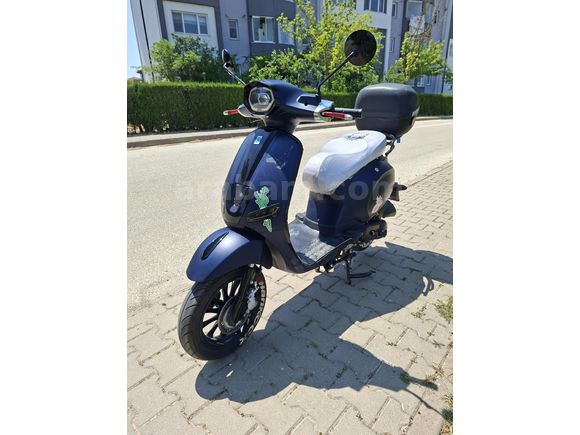 Mondial 50(80) Wing
