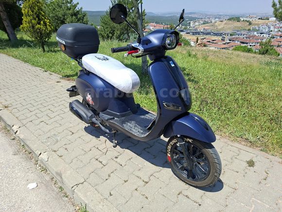 Mondial 50(80) Wing