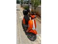 Sahibinden Kuba Blueberry 50