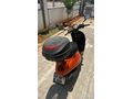 Sahibinden Kuba Blueberry 50