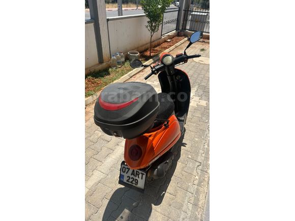 Sahibinden Kuba Blueberry 50