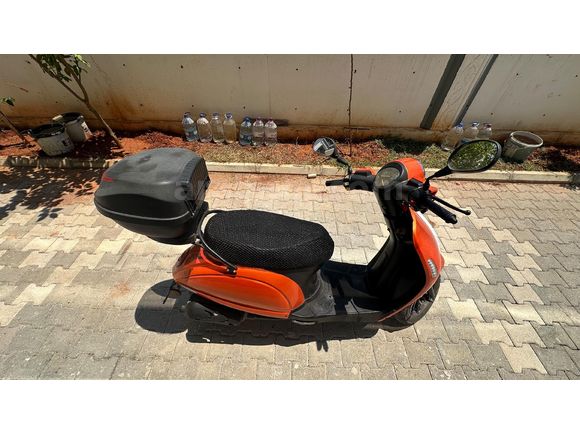Sahibinden Kuba Blueberry 50