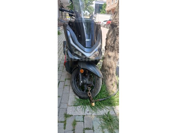 SAHİBİNDEN SATILIK SON SAMURAY