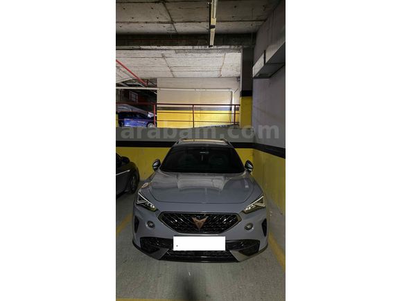 Değişensiz Boyasız Cupra Formentor 1.5 TSI 2023 Model 