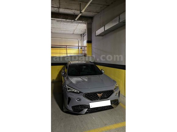 Değişensiz Boyasız Cupra Formentor 1.5 TSI 2023 Model 